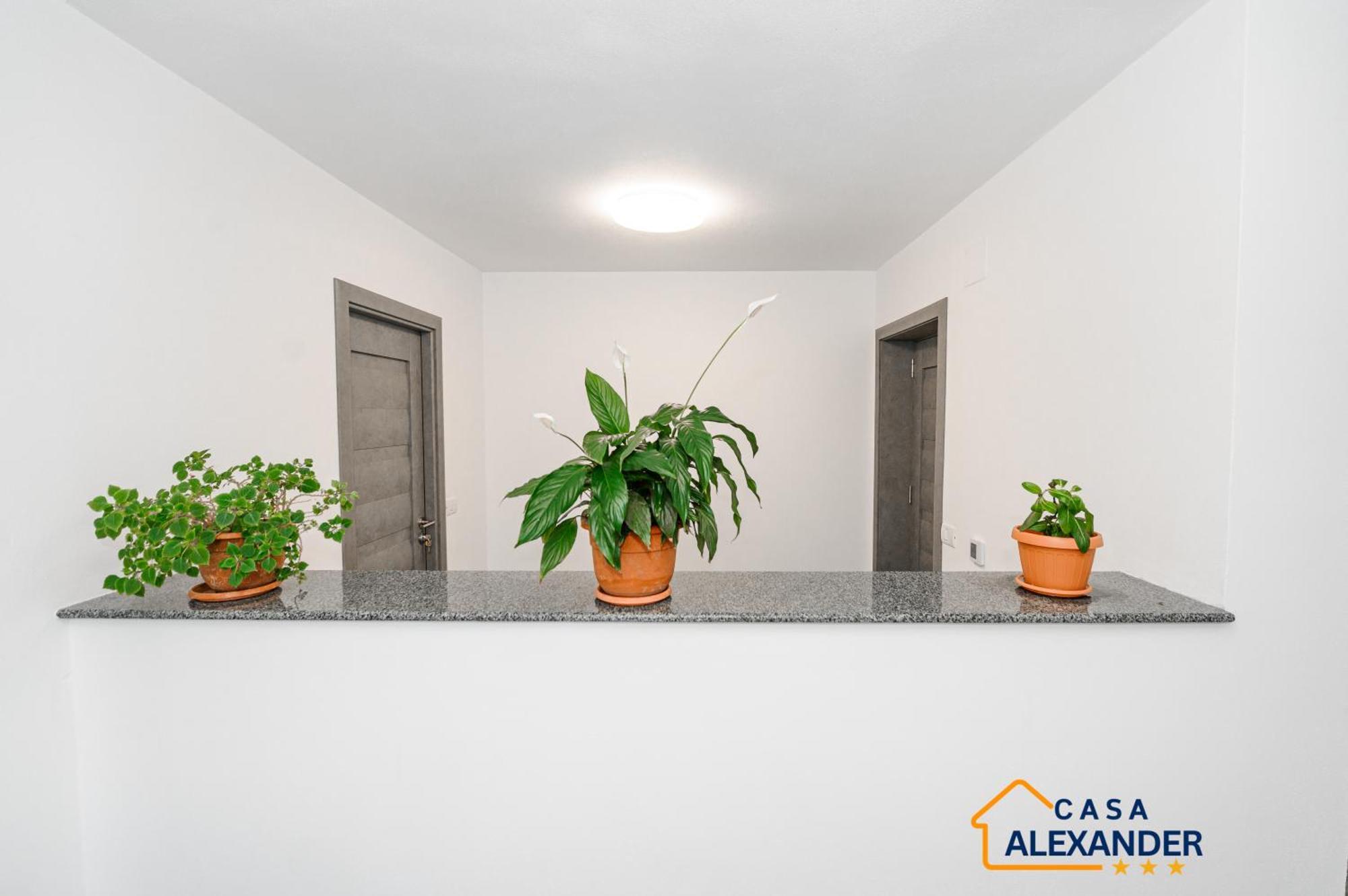 فندق Casa Alexander Călimăneşti المظهر الخارجي الصورة